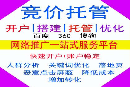 案例对比：SEM推广代运营效果评估